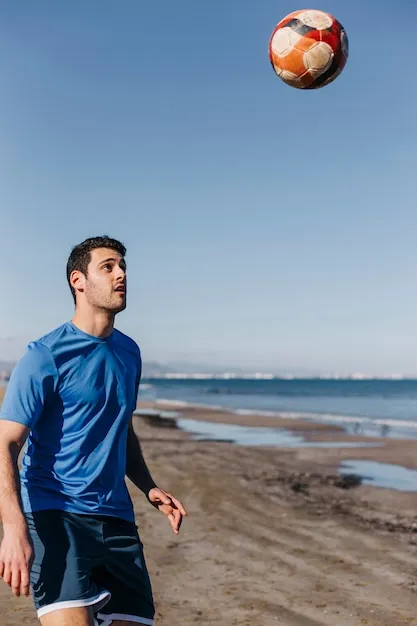 体育爱好者在观看比赛